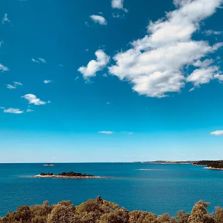 Olivia Valkanela App 3