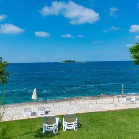 Olivia Valkanela App 3 *