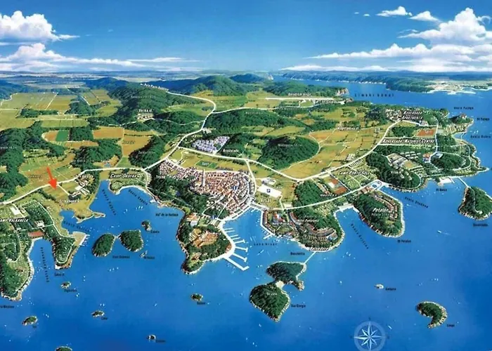 Olivia Valkanela App 3 *