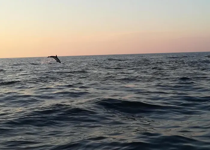 Olivia Valkanela App 3 Vrsar