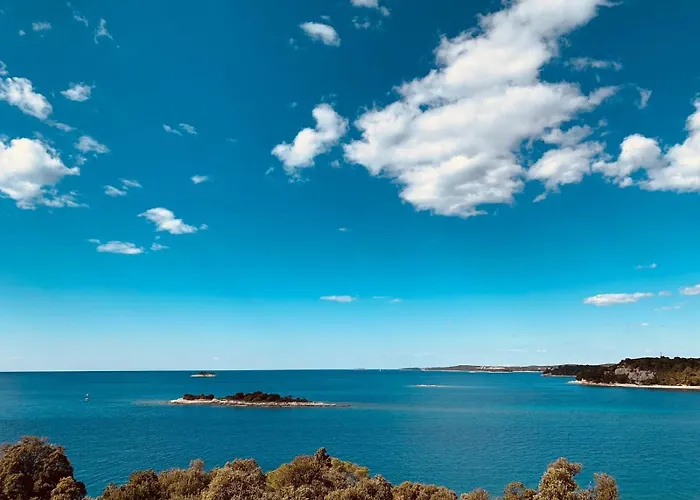 Olivia Valkanela App 3