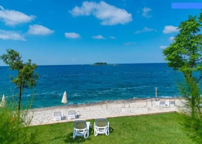 Olivia Valkanela App 3 *