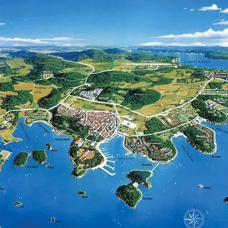 Olivia Valkanela App 3 *