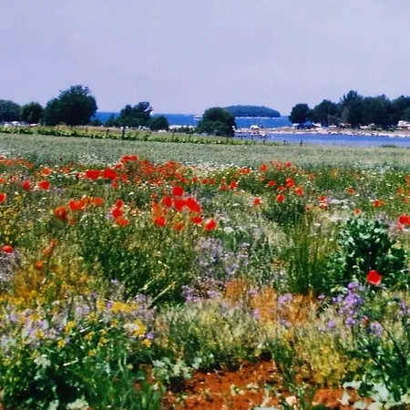 Olivia Valkanela App 3 Apartament Vrsar